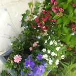 Le Memagne Tatil Evi Florenville