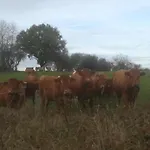 Le Memagne 度假居