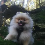 度假居 Le Memagne *