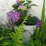 Le Memagne 夫洛朗维耶