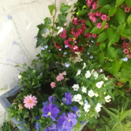 Le Memagne Prázdninový dům Florenville