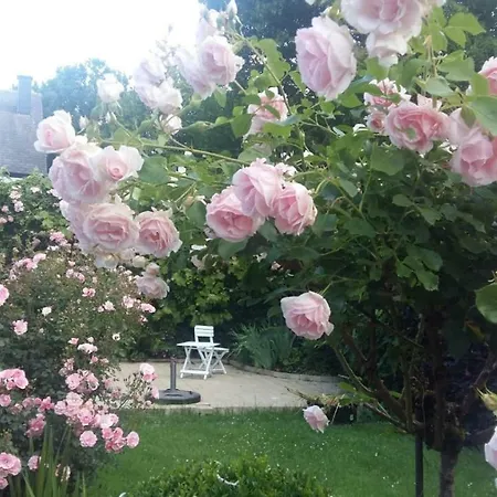 Le Memagne Сasa de vacaciones Florenville