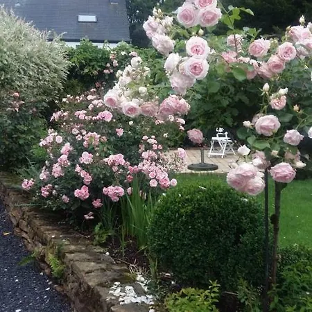 Le Memagne * Florenville