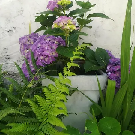 Le Memagne Florenville