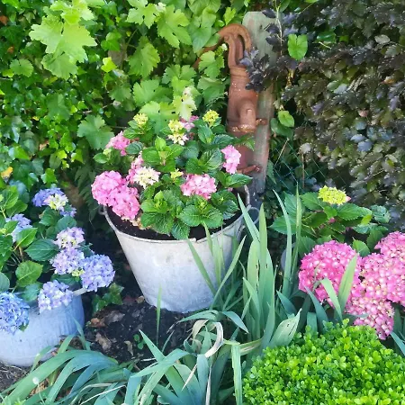 Le Memagne * Florenville